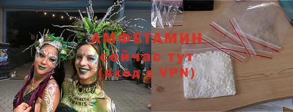 молекула духа Переславль-Залесский