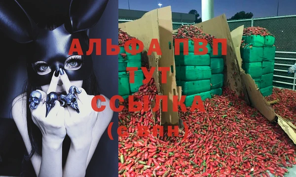 марки lsd Пересвет